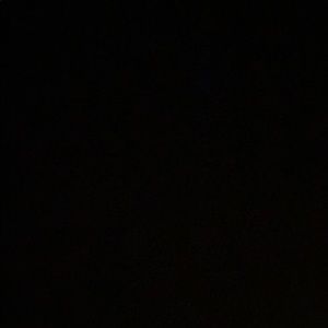 Meet your Posher, Corbin